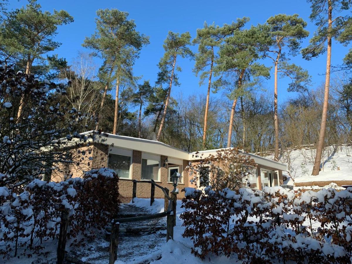 Het Fazantenbosje Villa Dalfsen Kültér fotó