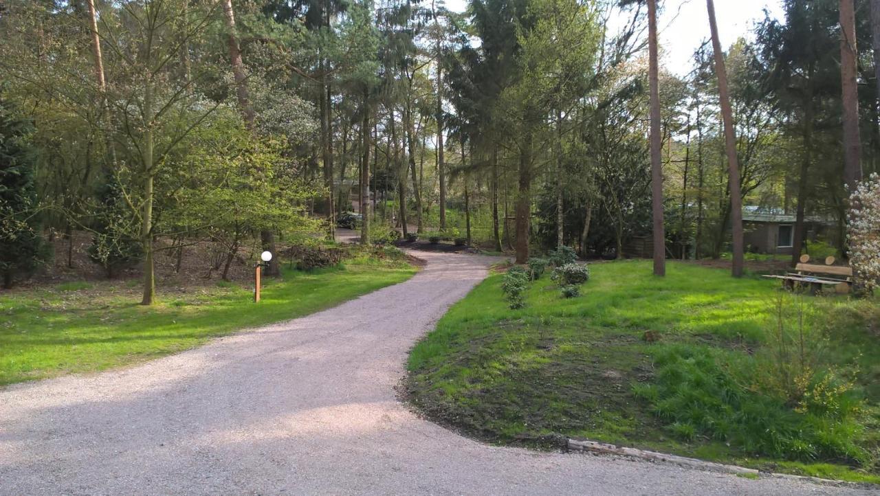 Het Fazantenbosje Villa Dalfsen Kültér fotó