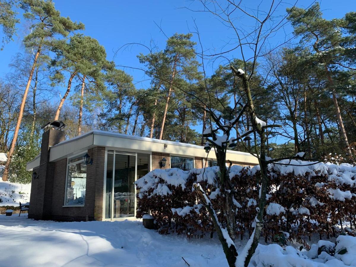 Het Fazantenbosje Villa Dalfsen Kültér fotó