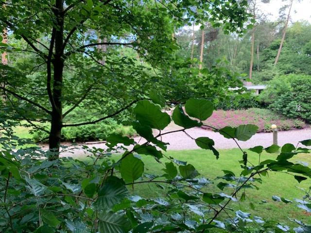 Het Fazantenbosje Villa Dalfsen Kültér fotó
