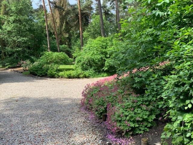 Het Fazantenbosje Villa Dalfsen Kültér fotó