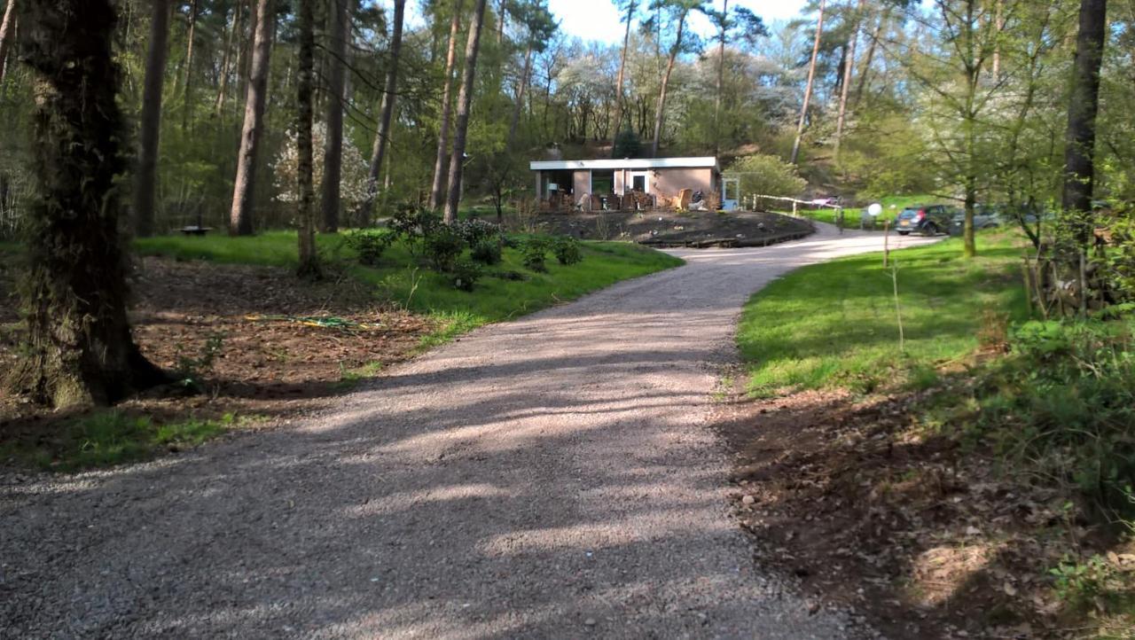 Het Fazantenbosje Villa Dalfsen Kültér fotó