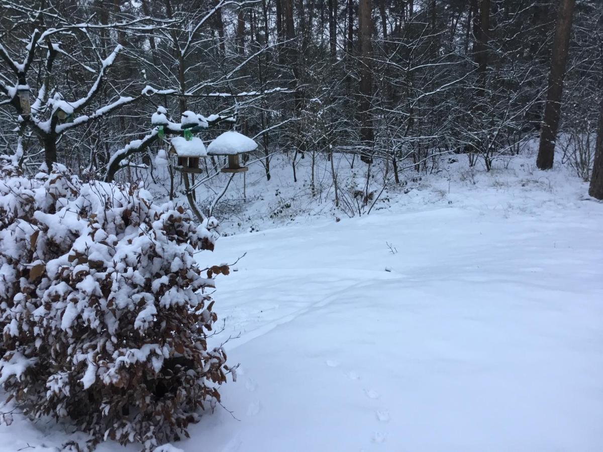 Het Fazantenbosje Villa Dalfsen Kültér fotó