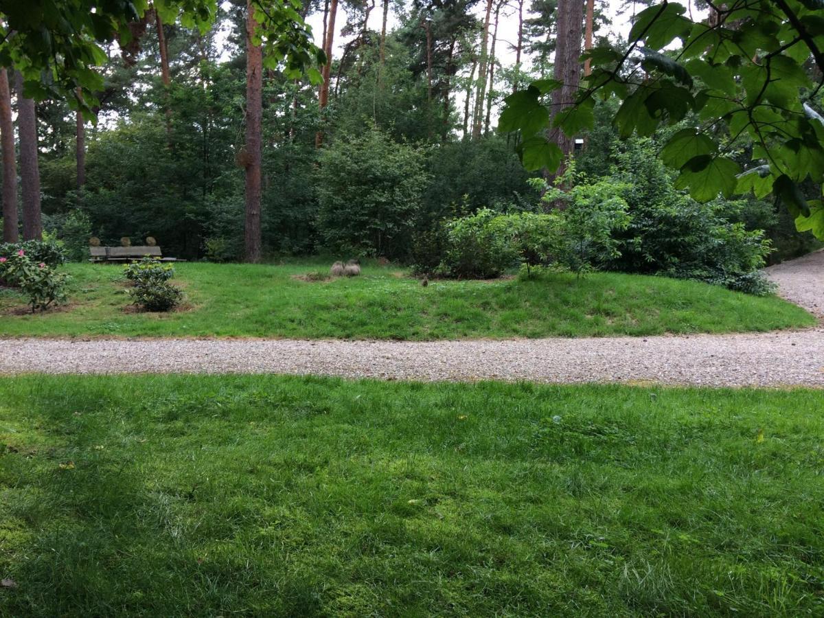 Het Fazantenbosje Villa Dalfsen Kültér fotó